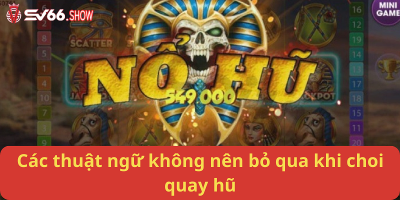 Các thuật ngữ không nên bỏ qua khi choi quay hũ