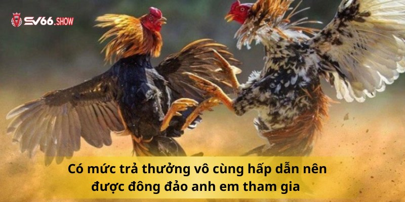 Có mức trả thưởng vô cùng hấp dẫn nên được đông đảo anh em tham gia 